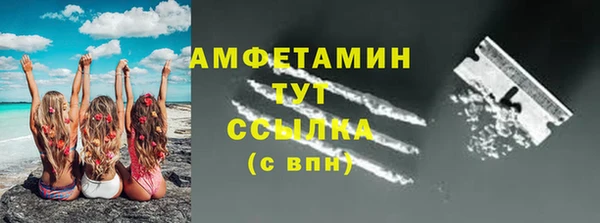 мдпв Богородск