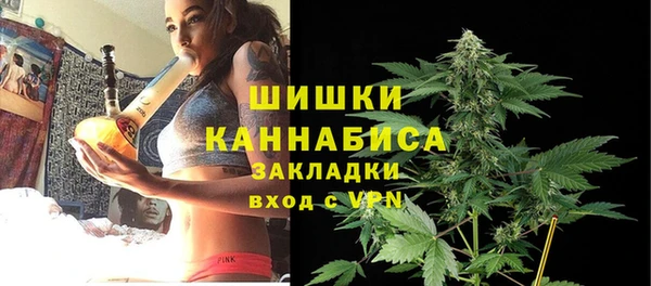 мдпв Богородск