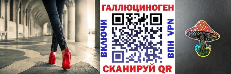 Псилоцибиновые грибы Psilocybe  купить  цена  это официальный сайт  Малаховка 