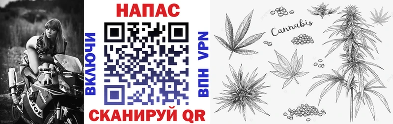 Конопля White Widow  KRAKEN сайт  Малаховка 